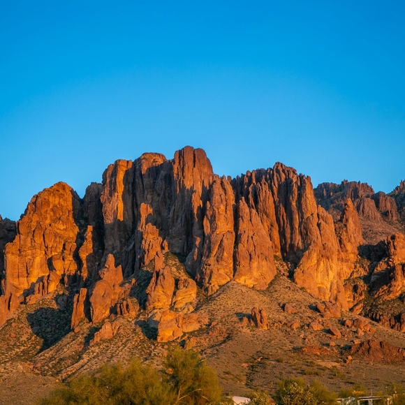 Meet your Posher, Rust N Roses - Picture 2 of 2